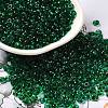 Transparent Colours Glass Seed Beads SEED-P006-02A-09-1