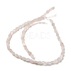 Natural Rose Quartz Beads Strands G-M420-H01-03-3