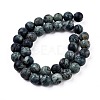 Frosted Natural Kambaba Jasper Beads Strands G-M272-14-8mm-4