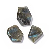 Natural Labradorite Pendants G-C002-01F-1