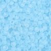 FGB Frosted Transparent Glass Seed Beads SEED-N013-02A-11-3