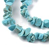Natural Howlite Beads Strands G-G0003-B21-4