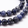 Natural Sodalite Beads Strands X-G-D840-19-6mm-3