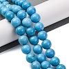 Dyed Natural Magnesite Beads Strands G-P558-A01-01A-2