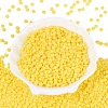 Opaque Glass Seed Beads SEED-N012-09A-03-2