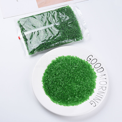 Transparent Glass Bugle Beads SEED-N005-001-C06-1
