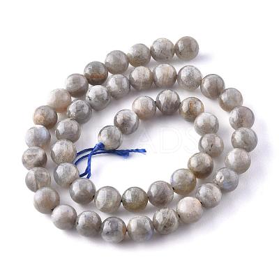 Natural Labradorite Beads Strands X-G-G212-8mm-23-1