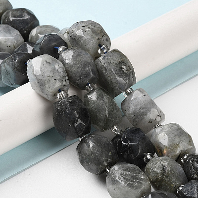 Natural Labradorite Beads Strands G-C105-A02-01-1