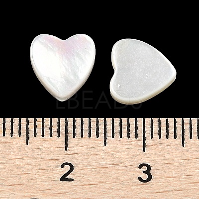 Natural White Shell Beads SSHEL-I026-09-1