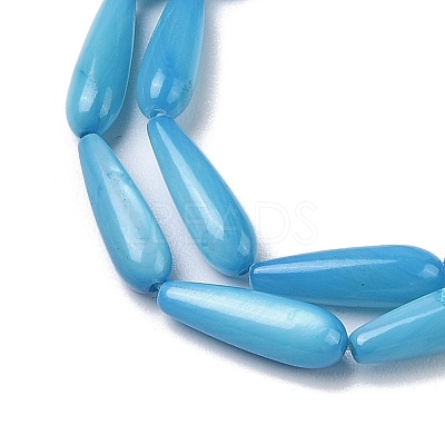 Natural Freshwater Shell Beads Strands SHEL-A004-03C-1
