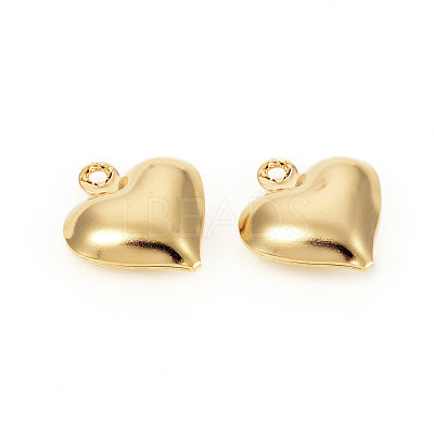304 Stainless Steel Charms STAS-I149-02G-1