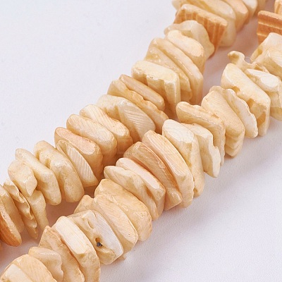 Natural Sea Shell Beads Strands BSHE-K012-08-1