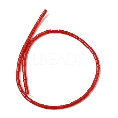 Natural White Jade Beads Strands G-Z145-A01-01F-1