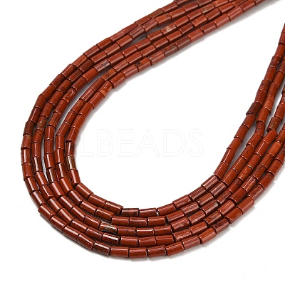 Natural Red Jasper Beads Strands G-P600-B03-01-1