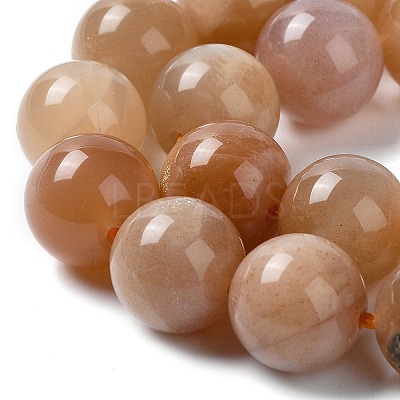 Natural Sunstone Beads Strands G-N327-01B-03-1