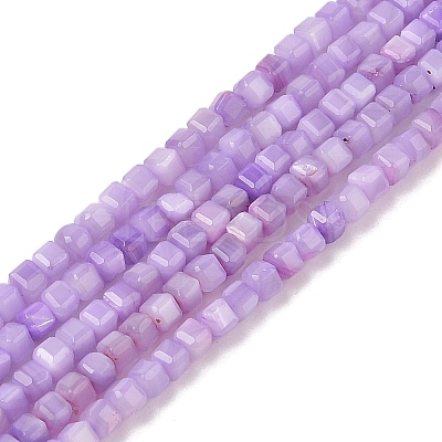 Natural Freshwater Shell Dyed Beads Strands SHEL-R100-11A-04-1