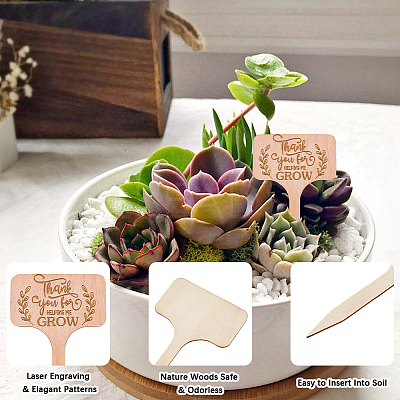 30Pcs Wooden Plant Labels DIY-GF0014-19A-1
