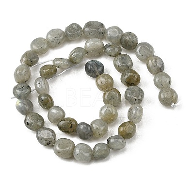 Natural Labradorite Beads Strands G-P623-A03-02-1