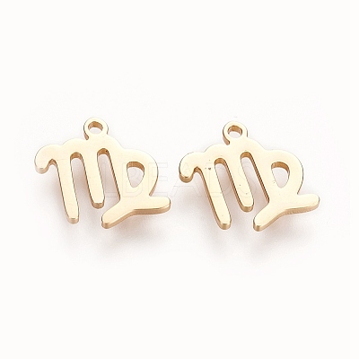 304 Stainless Steel Charms LS-STAS-L227-001I-1