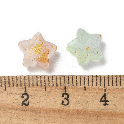 Frosted Acrylic Charms OACR-M023-04A-1