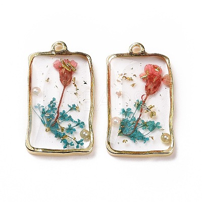 Transparent Clear Epoxy Resin Pendants RESI-L036-04G-02-1