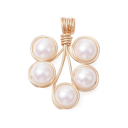 Plastic Imitation Pearl Pendants PALLOY-JF03519-02-1