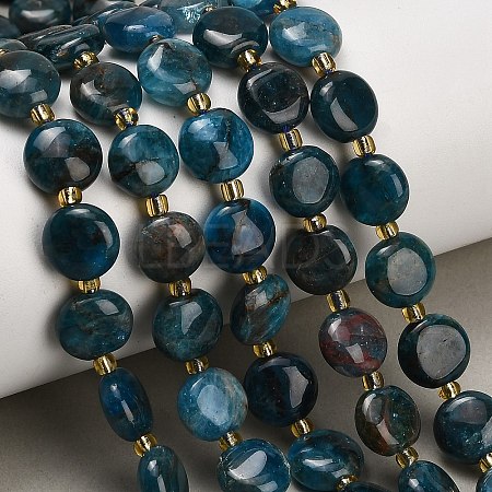 Natural Apatite Beads Strands G-H005-B14-01-1