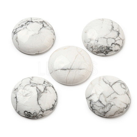 Natural Howlite Cabochons G-C115-02B-12-1