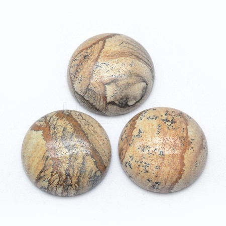 Natural Picture Jasper Cabochons G-E492-A-10-1
