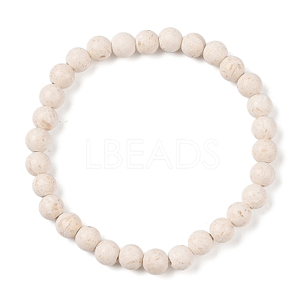 Natural Fossil Round Beaded Stretch Bracelets G-U005-01A-01-1