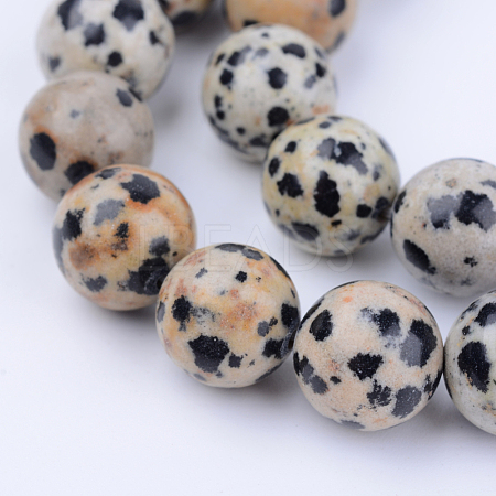 Natural Dalmatian Jasper Beads Strands X-G-Q462-8mm-30-1