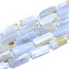 Natural Blue Lace Agate Beads Strands G-E530-16Q-1
