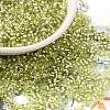 Glass Seed Beads X-SEED-S042-04B-24-1