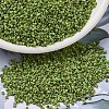 MIYUKI Delica Beads SEED-X0054-DB2265-1