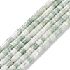 Natural Qinghai Jade Beads Strands G-L528-13-1