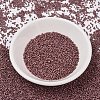 MIYUKI Delica Beads X-SEED-J020-DB1167-2