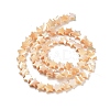 Star Natural White Shell Beads Strands BSHE-Q025-14B-5