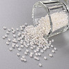 11/0 Grade A Transparent Glass Seed Beads X-SEED-N001-E-436-1