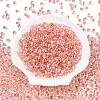 6/0 Baking Paint Transparent Fringe Glass Seed Beads SEED-N006-06E-2