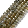 Natural Labradorite Beads Strands G-G065-A01-01-1