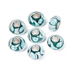 Handmade Lampwork & Brass Core European Beads LAMP-N044-03S-01-1