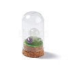 Natural Quartz Crystal Mushroom Display Decoration with Glass Dome Cloche Cover G-E588-03I-2