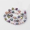 Natural Cultured Freshwater Pearl Beads Strands X-PEAR-Q007-06-2