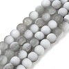 Frosted Crackle Glass Beads Strands GLAA-U001-6mm-M06-1