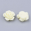 Resin Cabochons CRES-B2026-A17-2