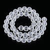 Transparent Glass Beads Strands GLAA-T032-T10mm-MD13-3