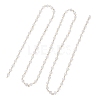 Handmade 304 Stainless Steel Glass Rondelle Link Chains AJEW-JB01460-4