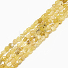 Natural Yellow Opal Beads Strands G-S301-09-1