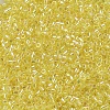 MIYUKI Delica Beads SEED-X0054-DB0171-3