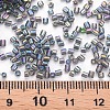 Glass Bugle Beads SEED-S032-10A-172-4